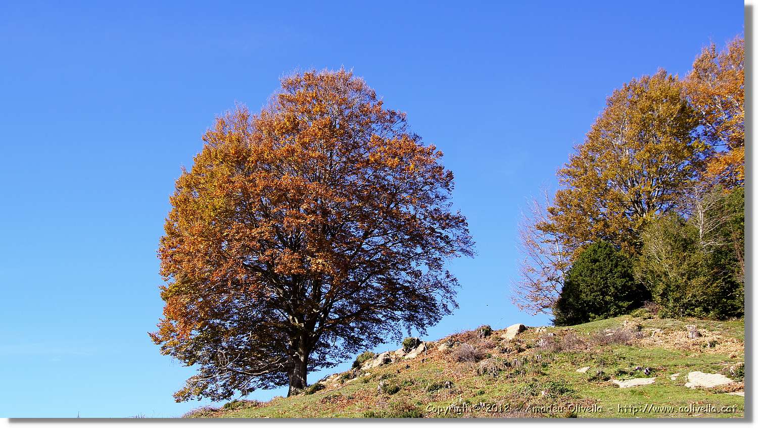 Puigsacalm_094.jpg