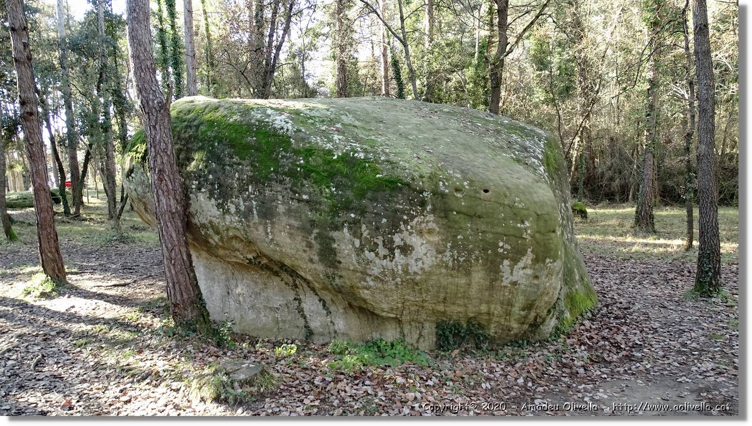Tavèrnoles_073.jpg