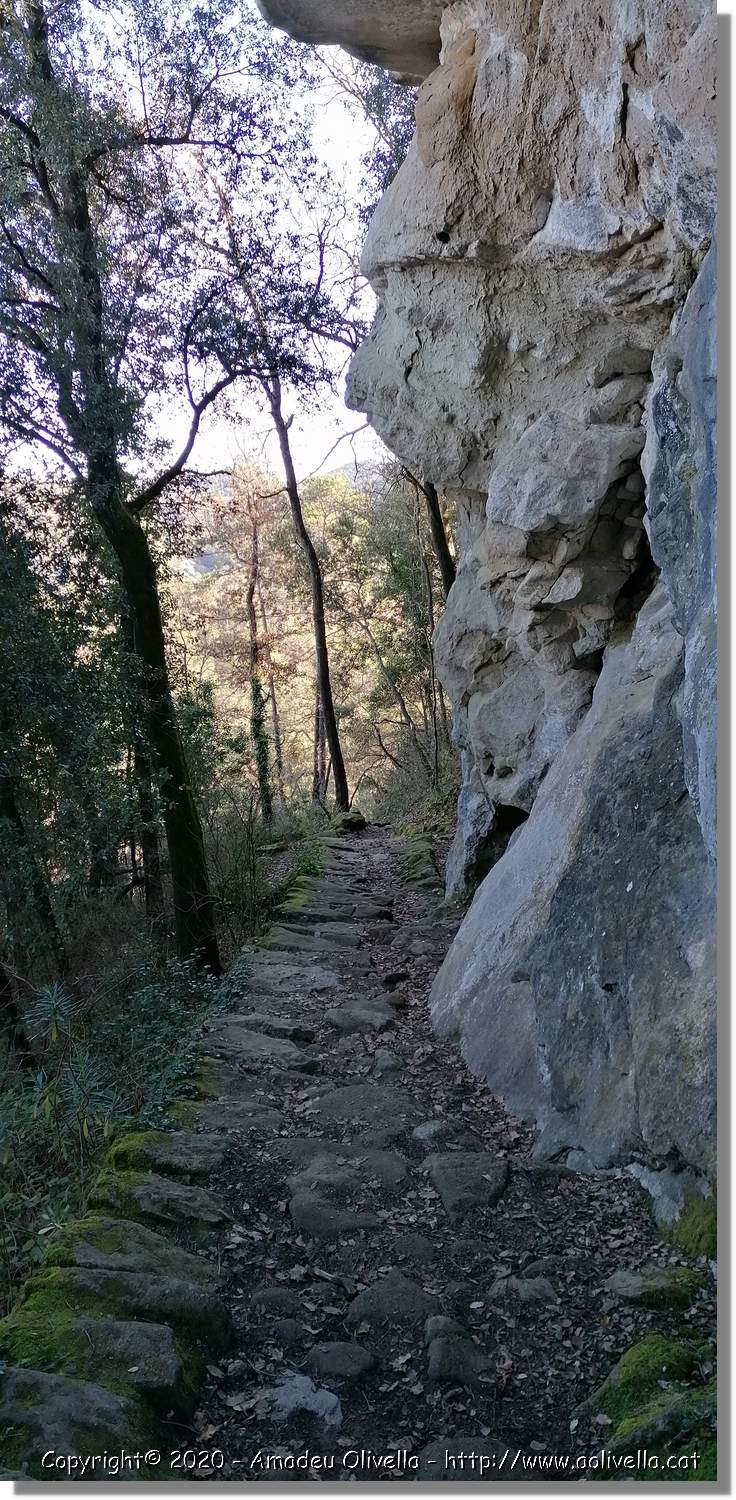 Tavèrnoles_093.jpg