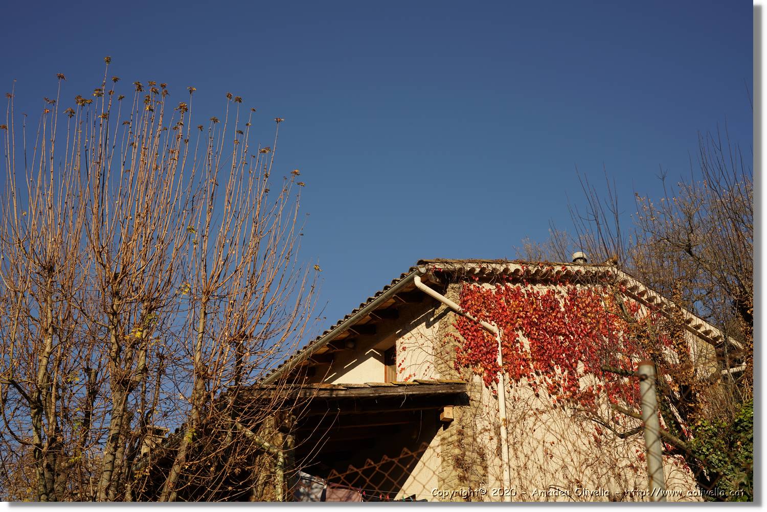 Tavèrnoles_137.jpg
