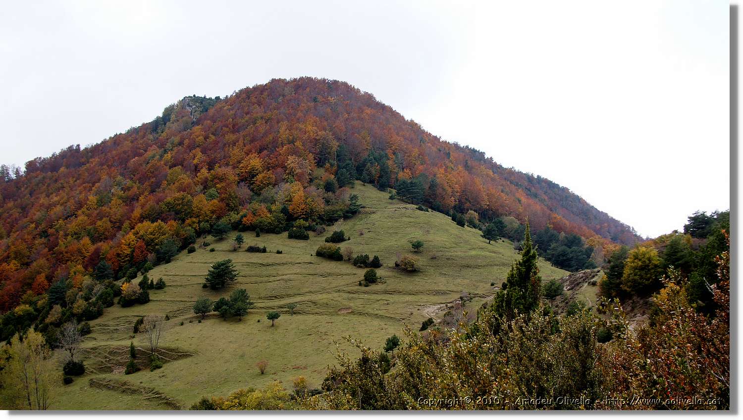 St.Amand_123.jpg