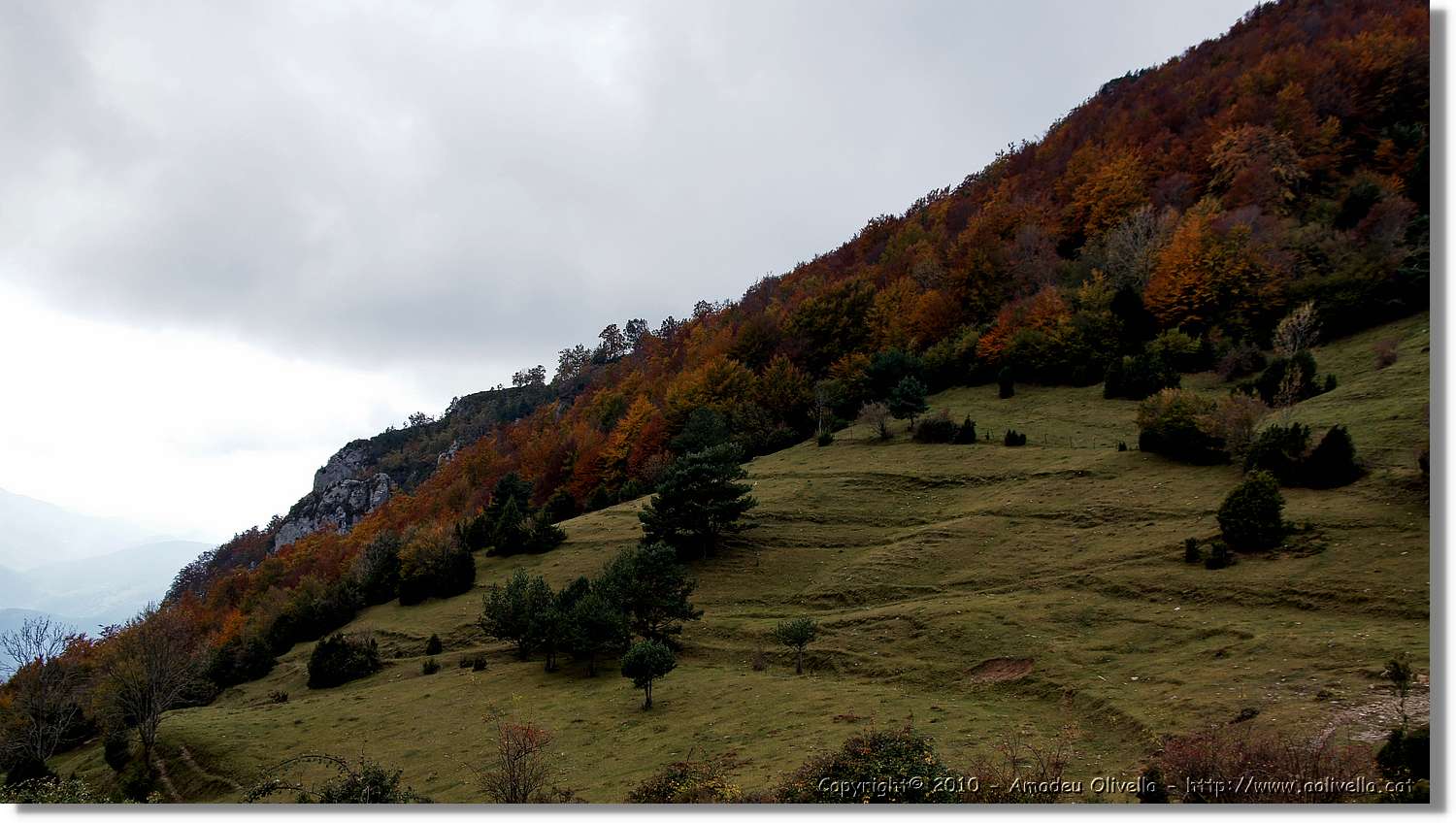 St.Amand_127.jpg