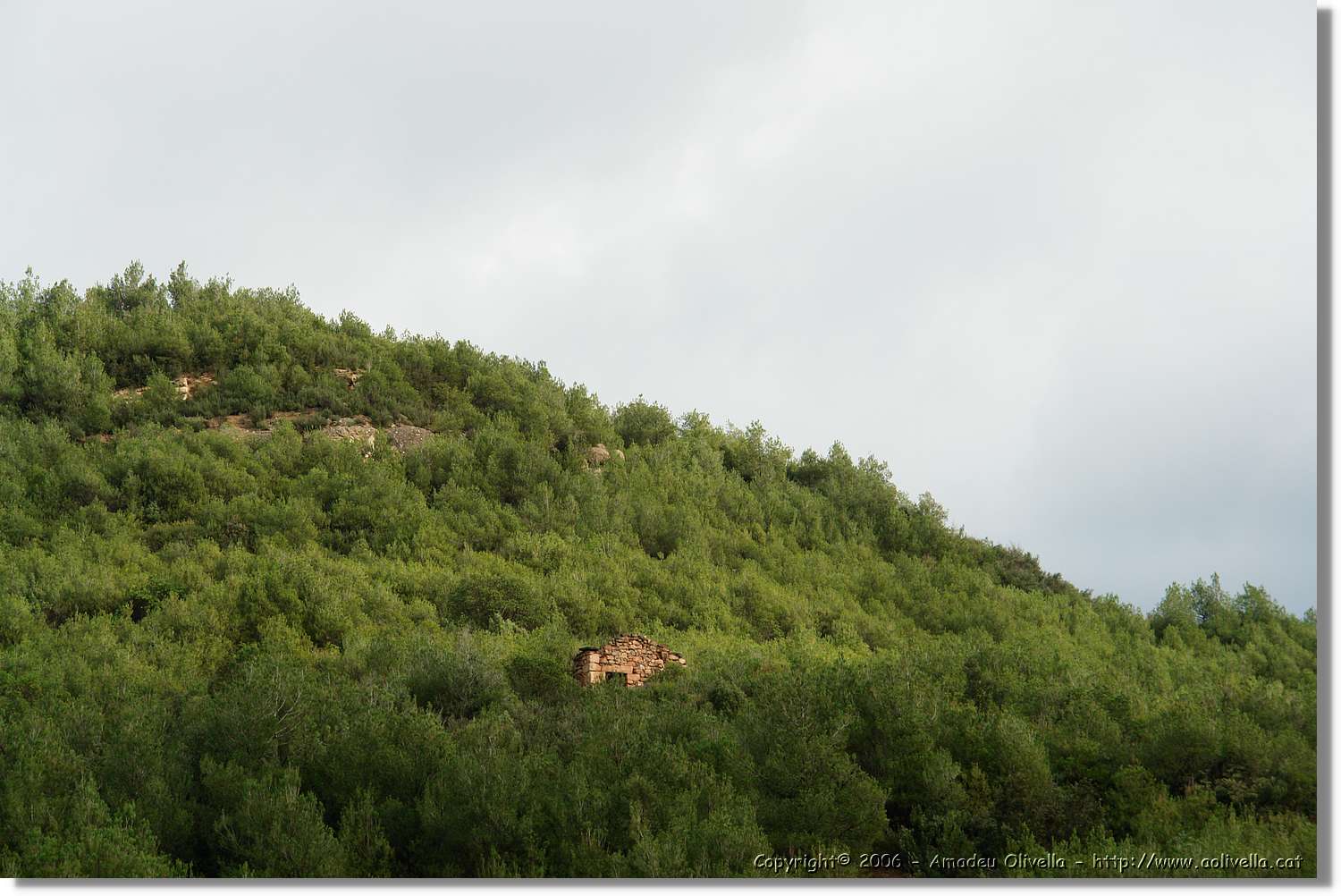 Tines_088.jpg