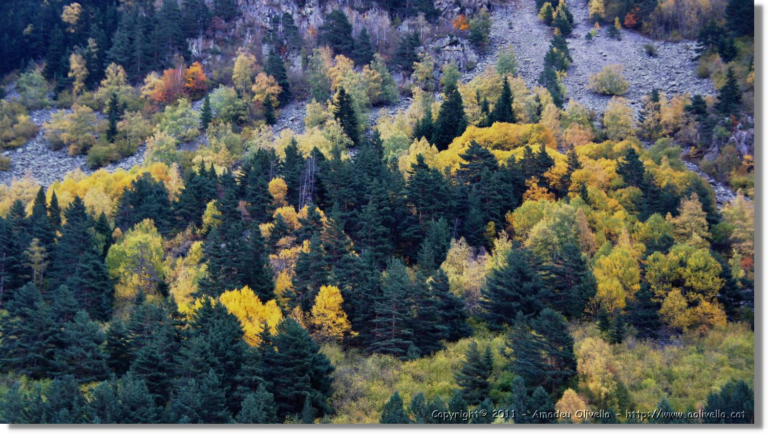 Colomers_128.jpg