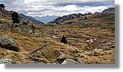 Colomers_094.jpg