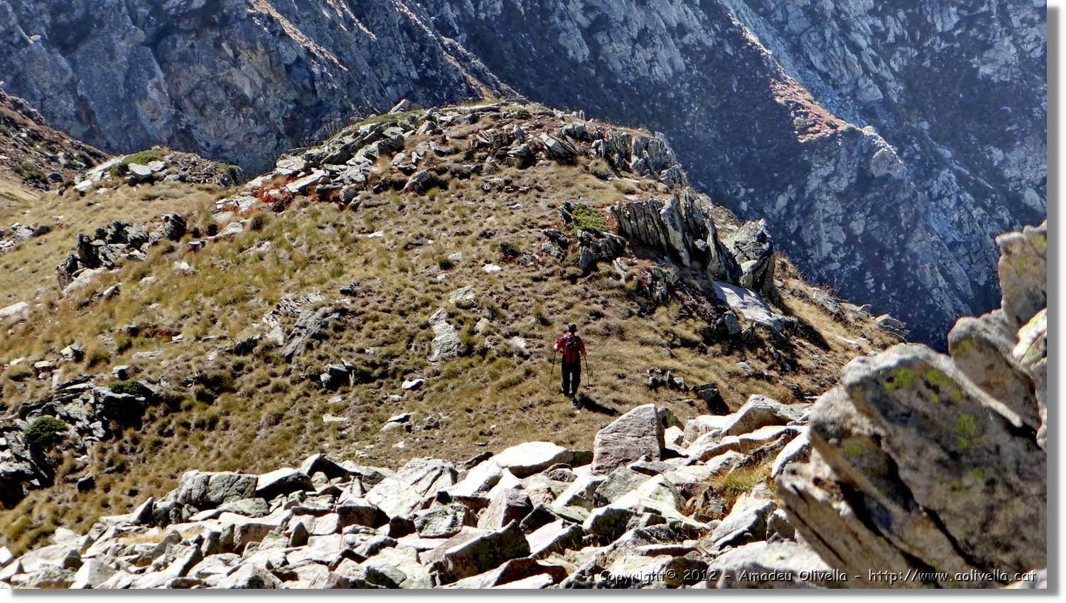 Baciver_116.jpg