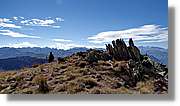 Baciver_119.jpg