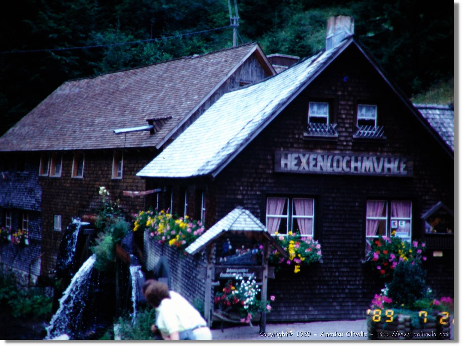 SwWald_04.jpg