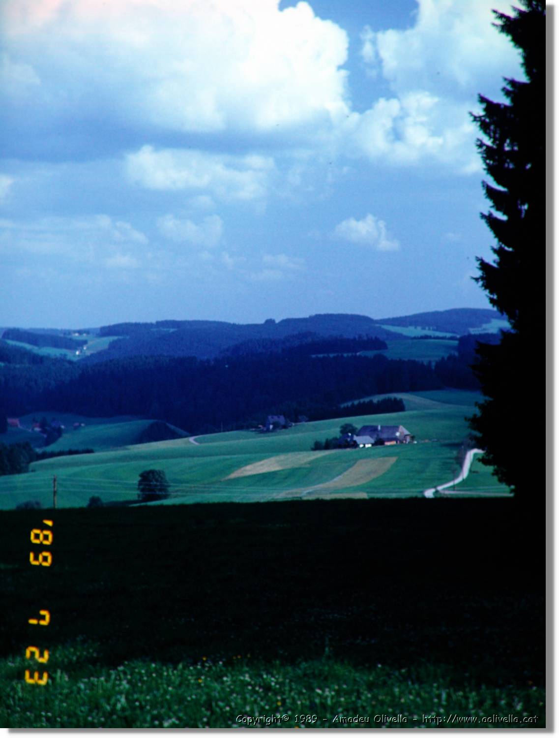 SwWald_07.jpg