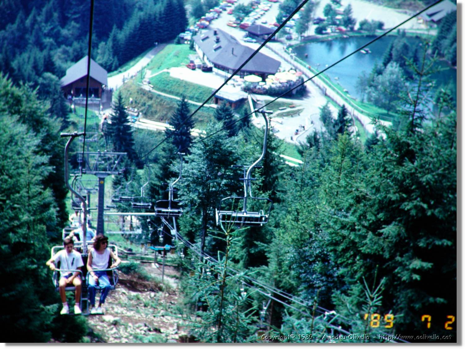 SwWald_11.jpg