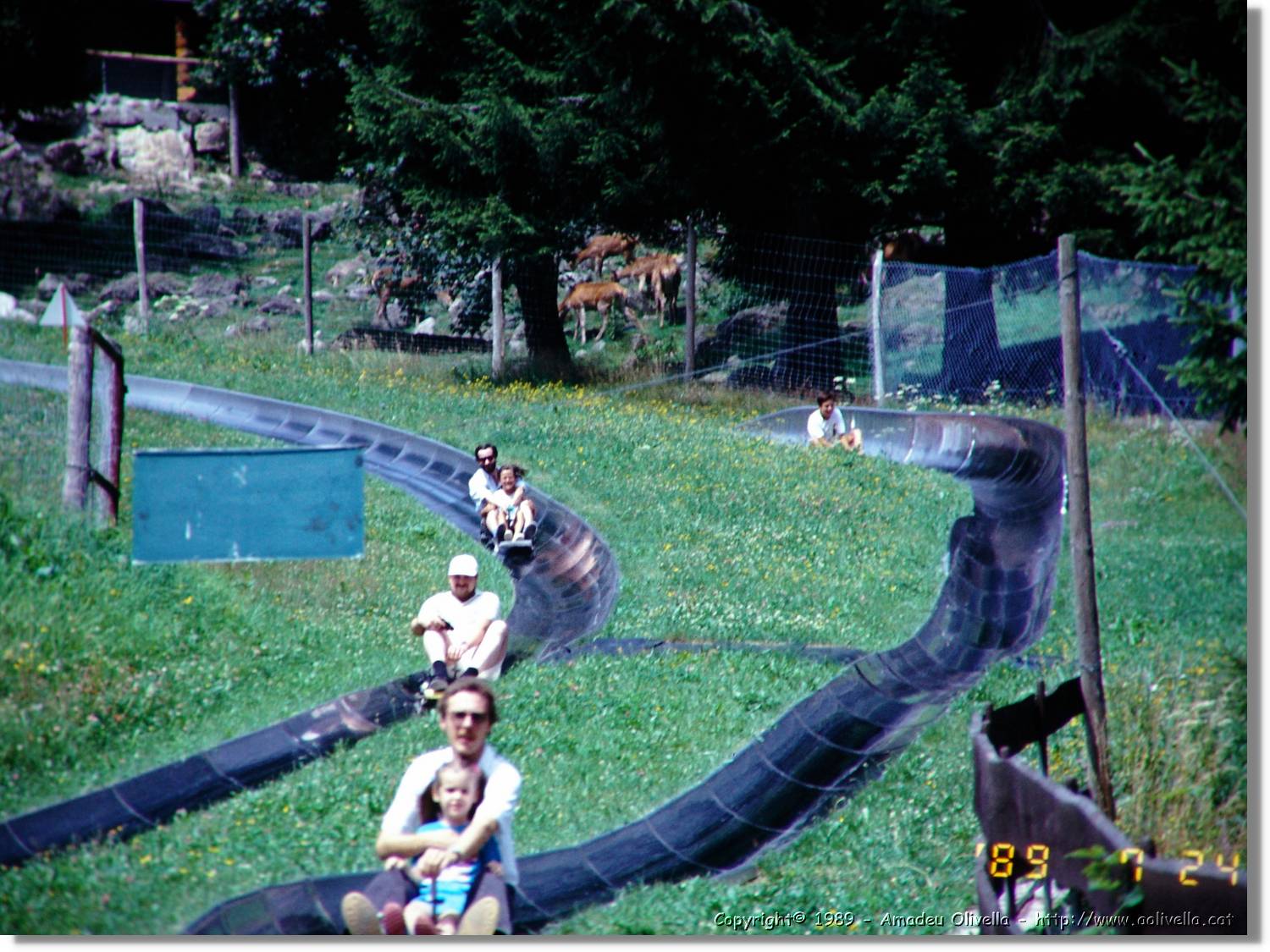 SwWald_15.jpg