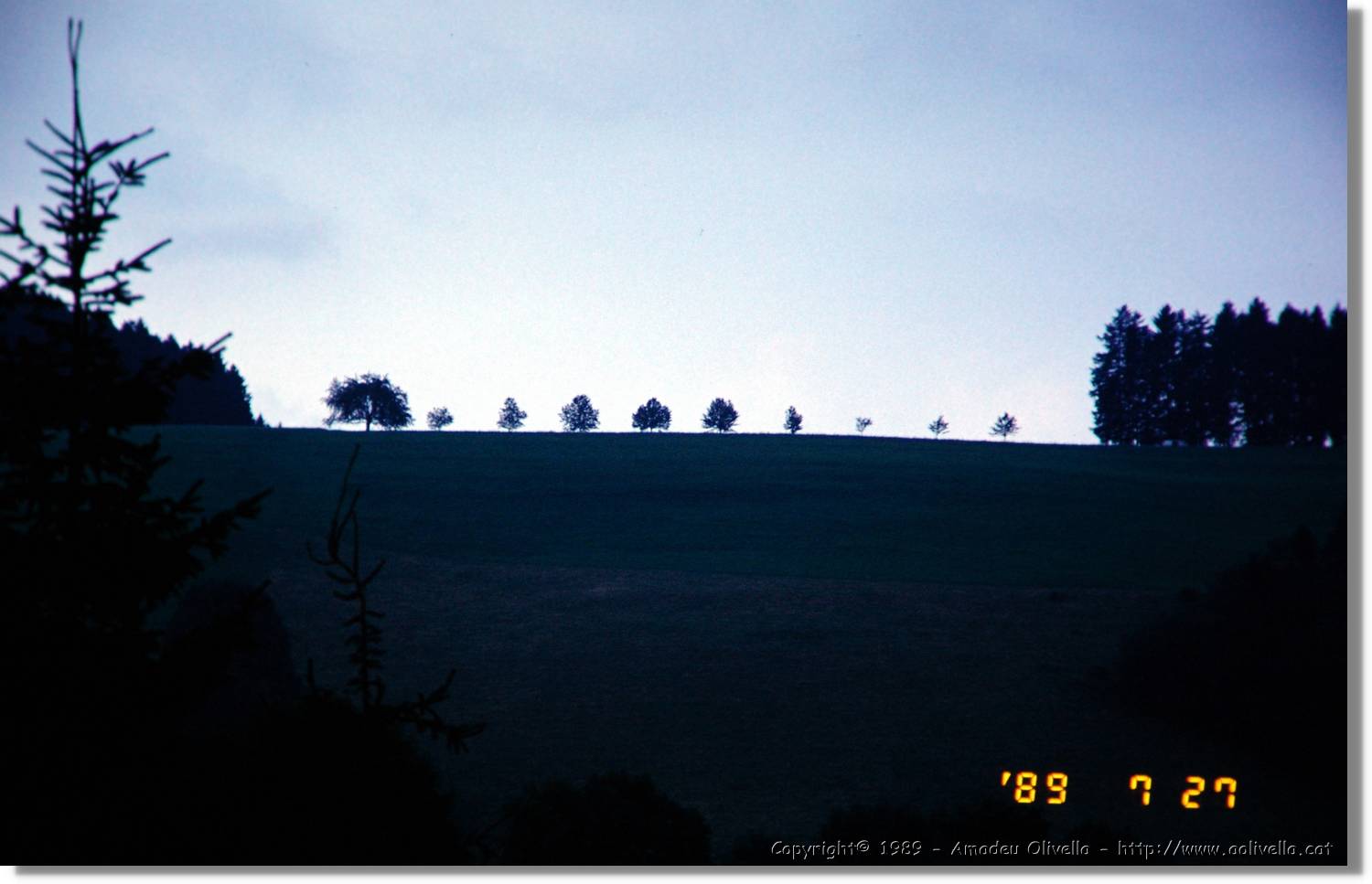 SwWald_20.jpg