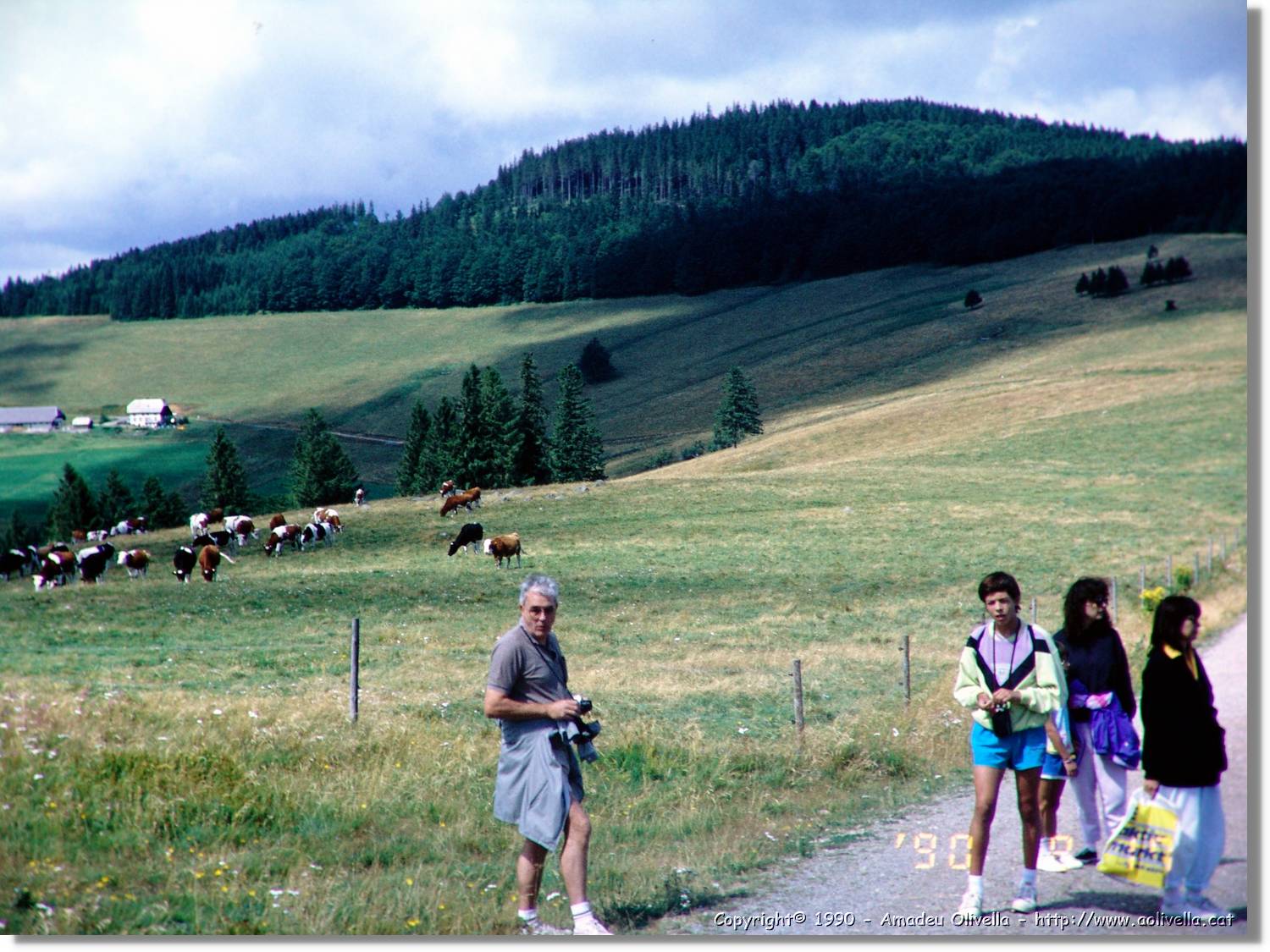 SW_Wald_21.jpg