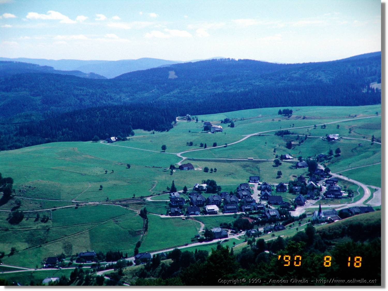 SW_Wald_28.jpg