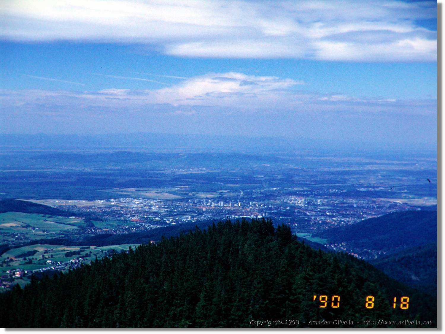 SW_Wald_29.jpg