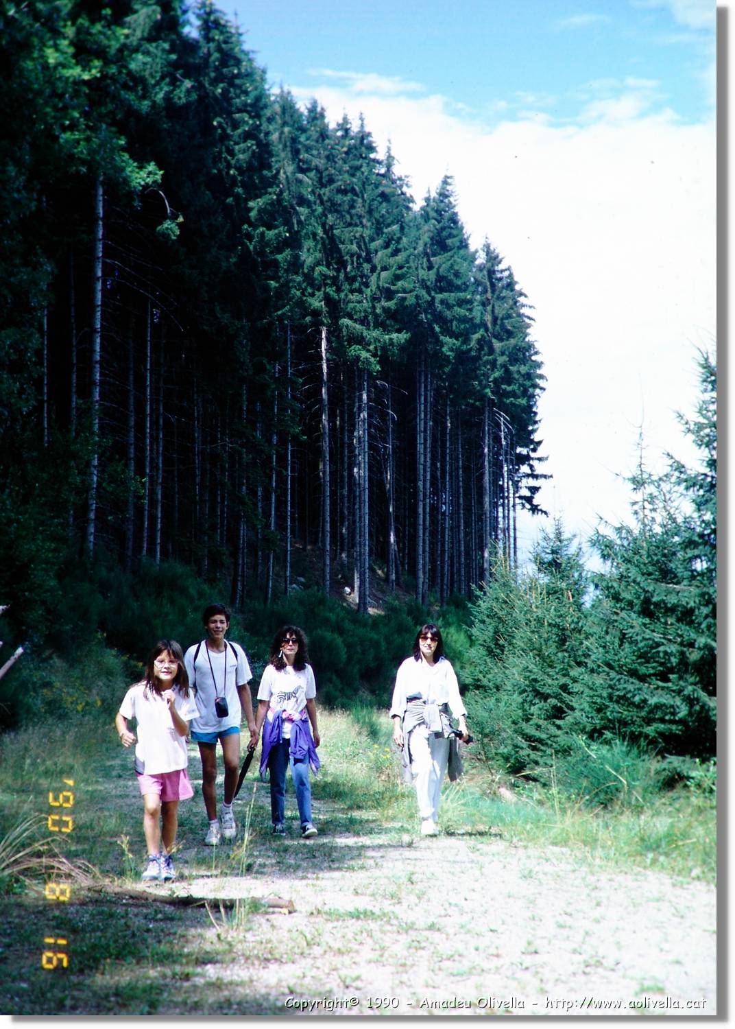 SW_Wald_31.jpg