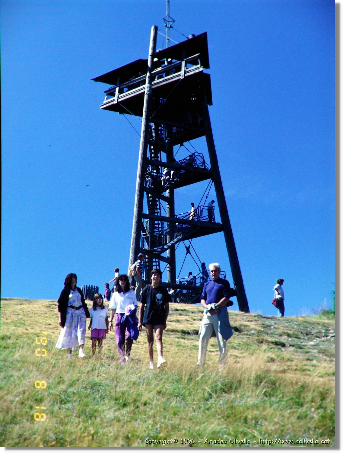 SW_Wald_33.jpg