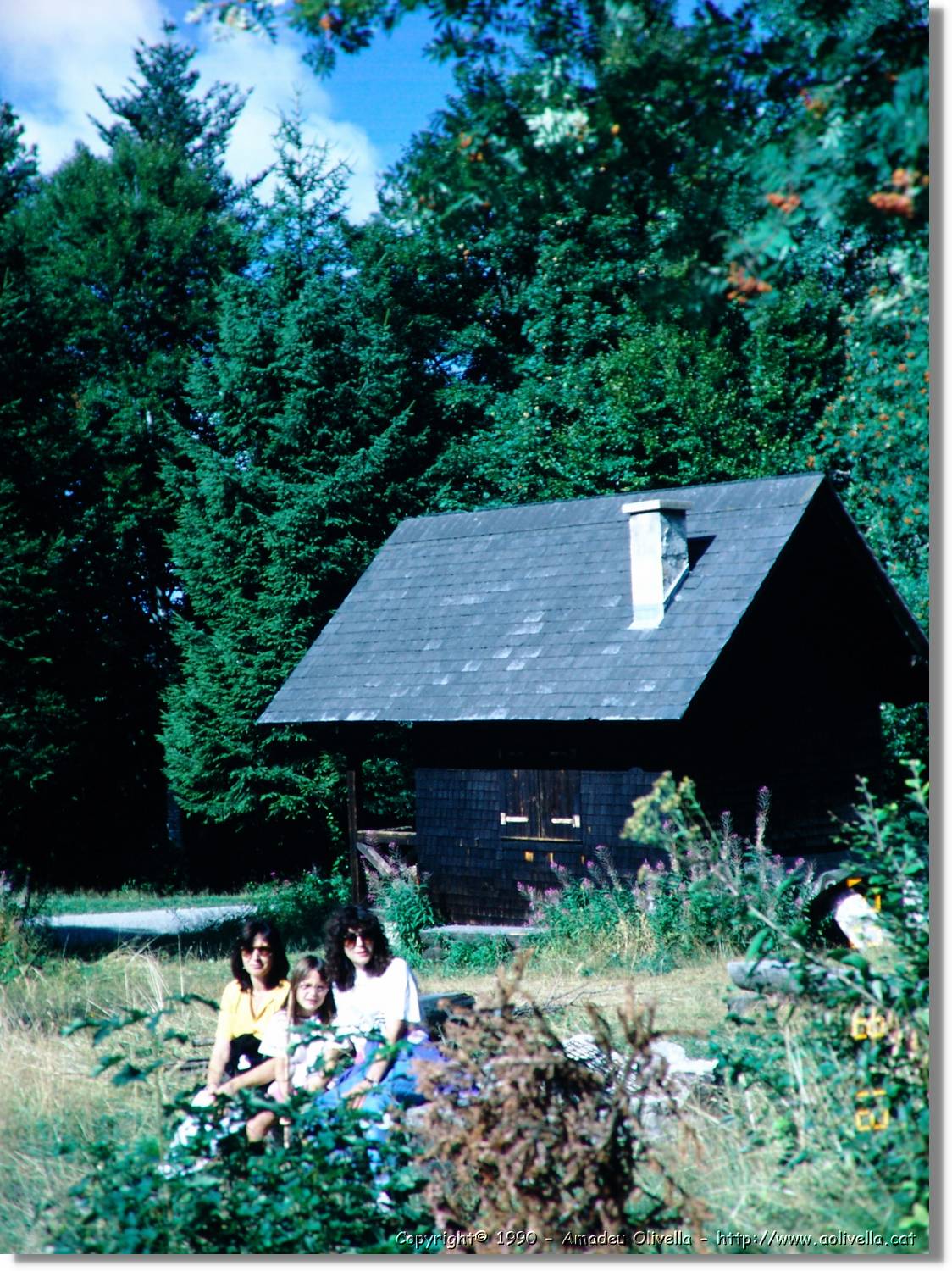 SW_Wald_36.jpg