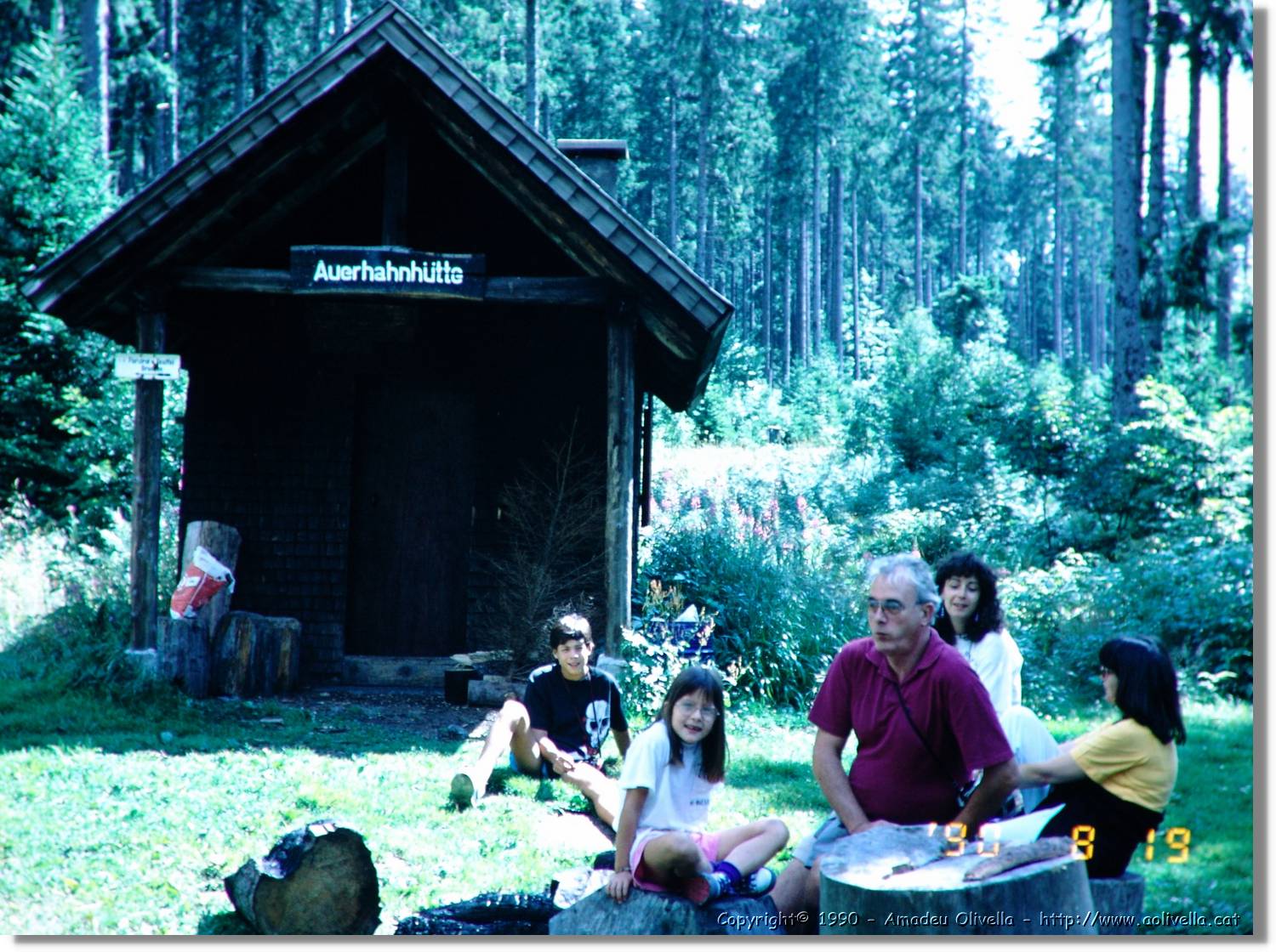 SW_Wald_37.jpg