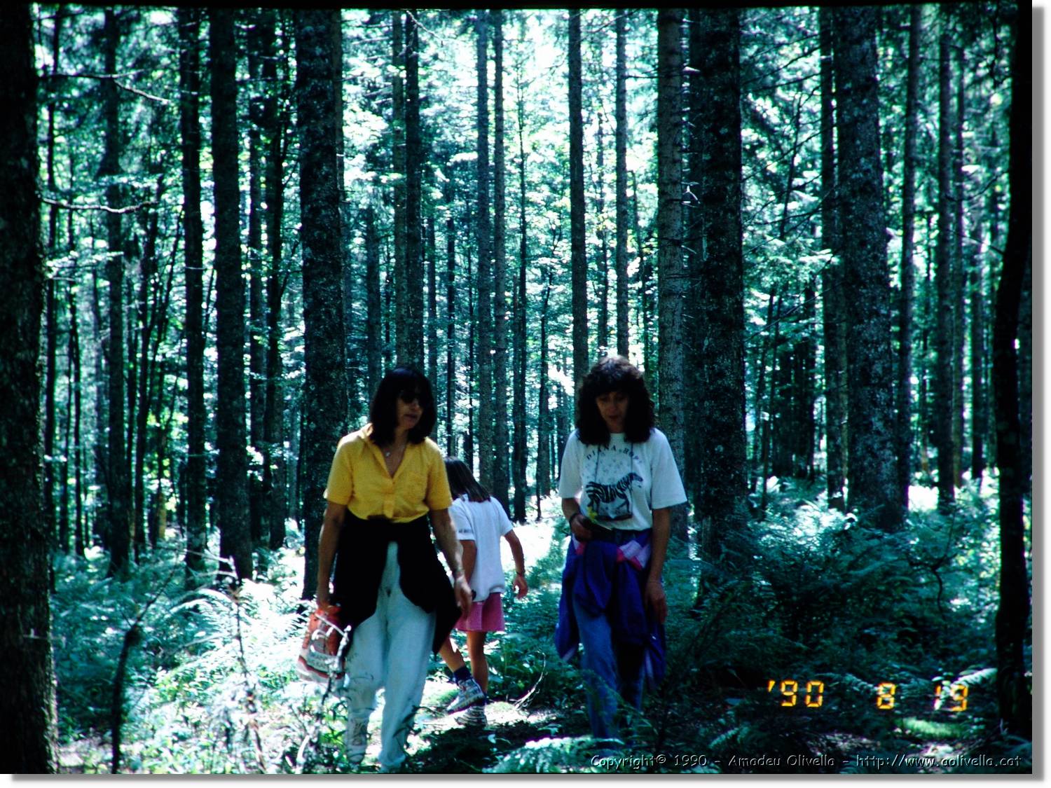 SW_Wald_39.jpg