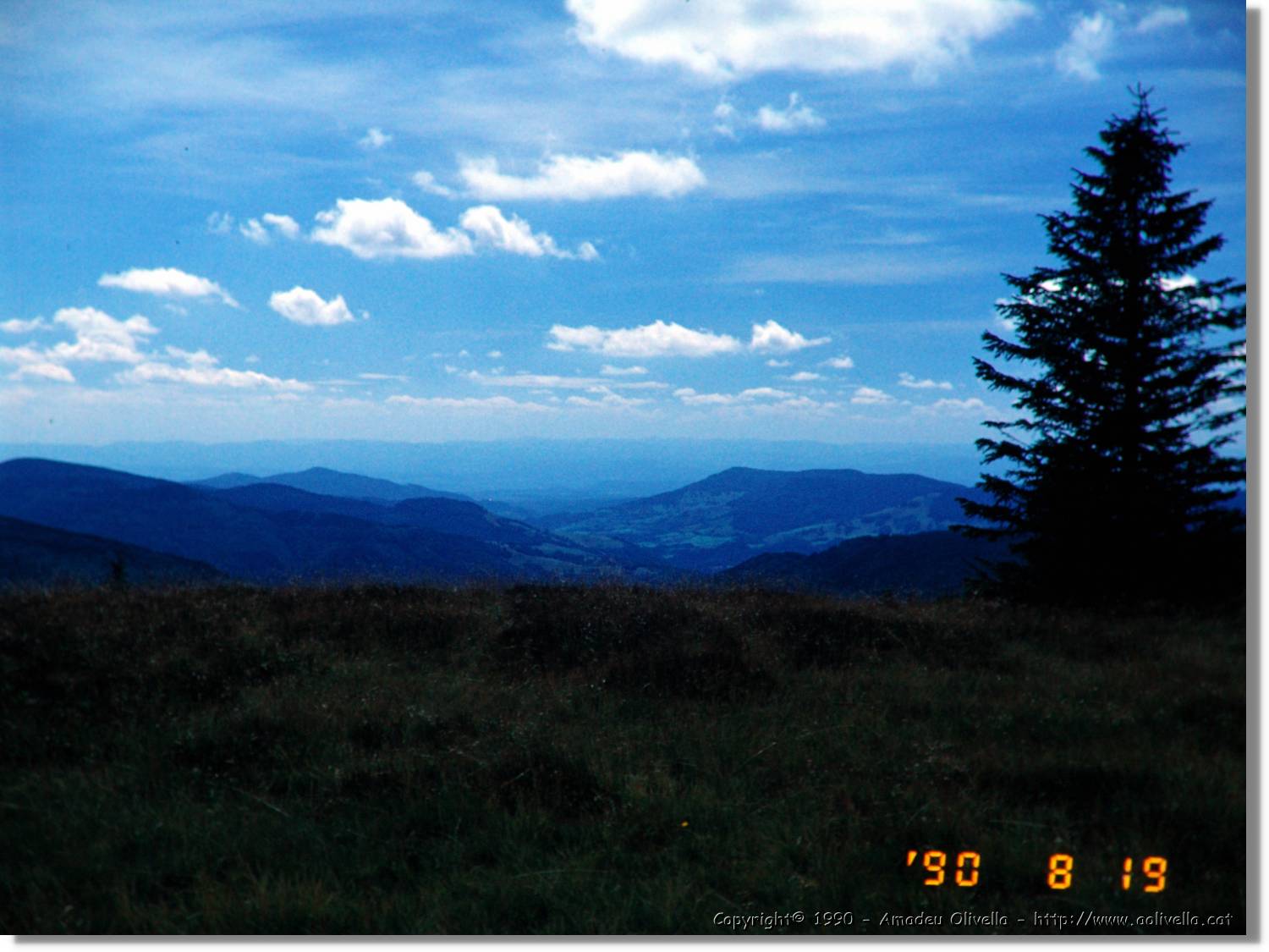 SW_Wald_40.jpg