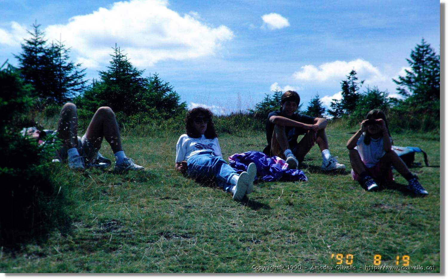 SW_Wald_42.jpg