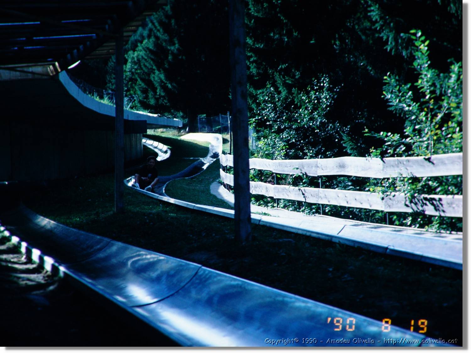 SW_Wald_47.jpg