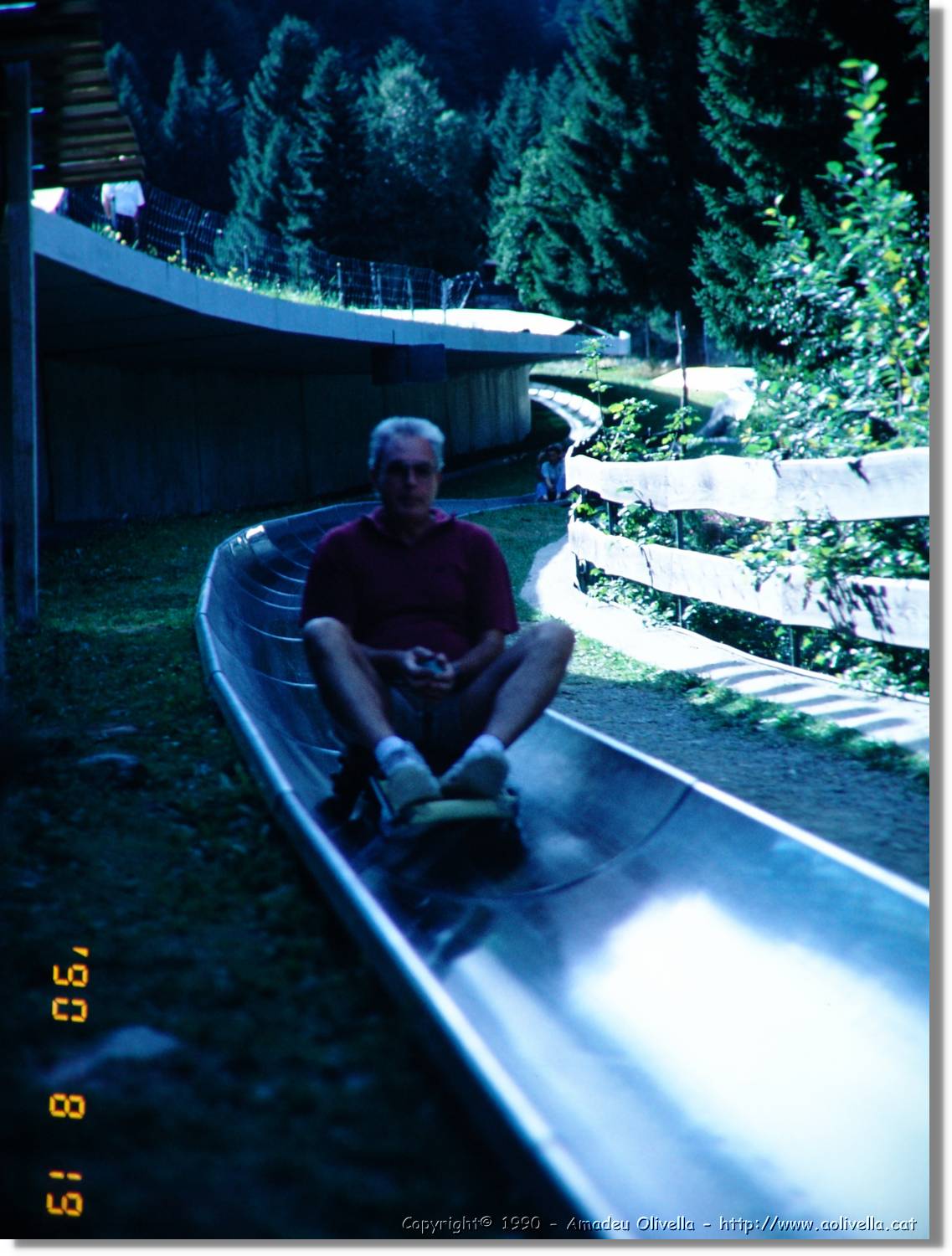 SW_Wald_48.jpg