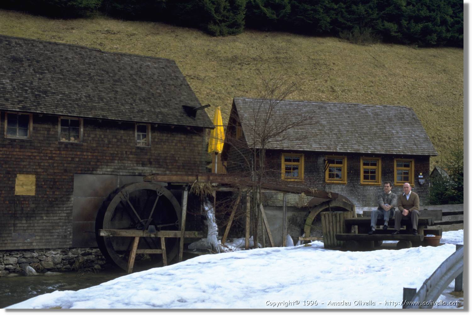 SWald_001.jpg