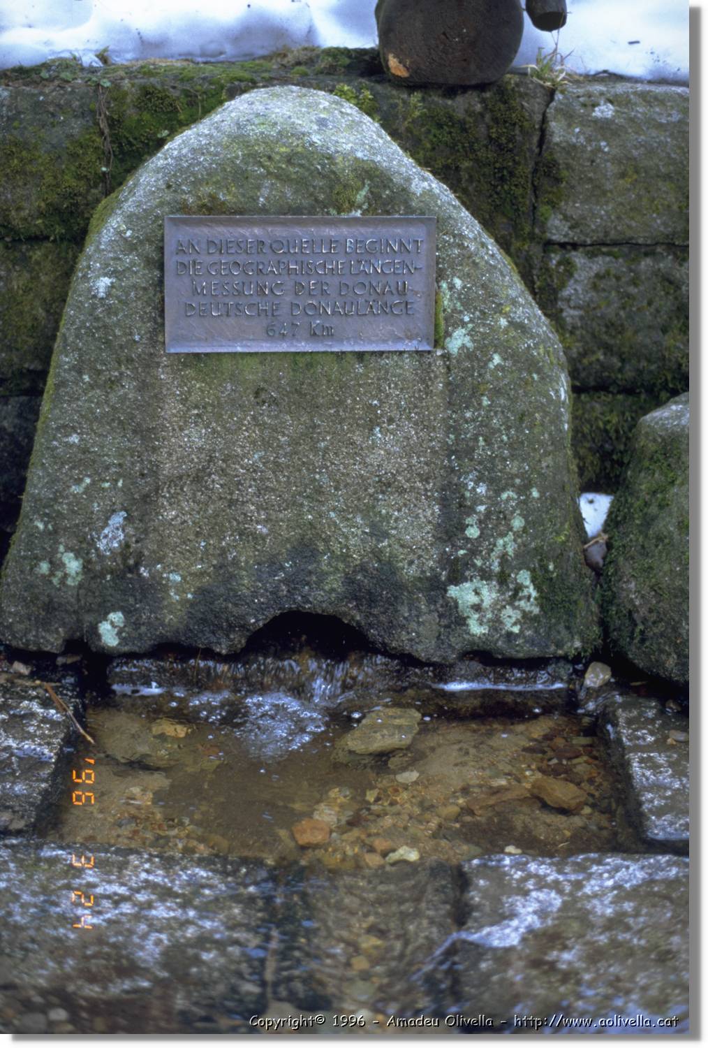 SWald_003.jpg