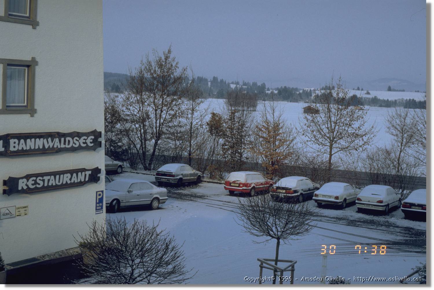 SWald_016.jpg