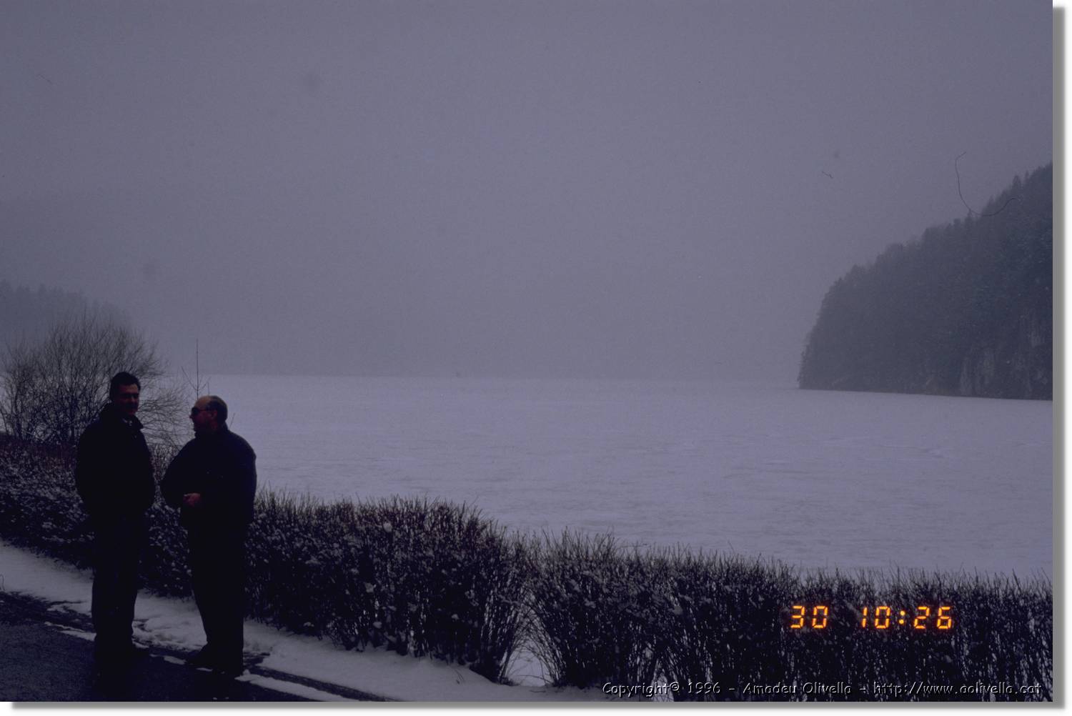 SWald_019.jpg