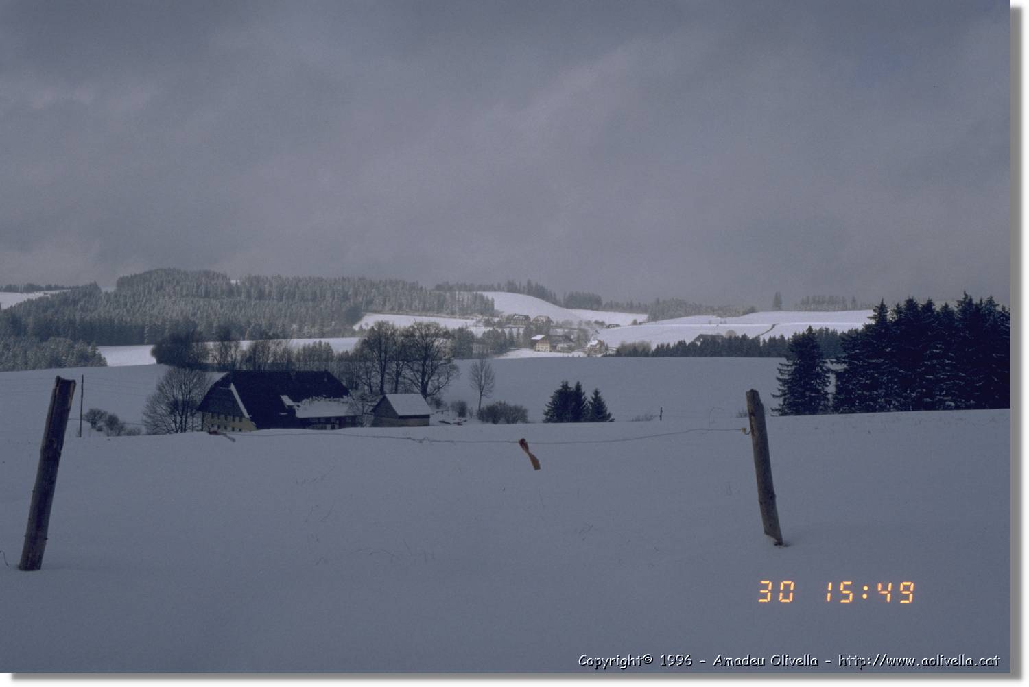 SWald_021.jpg