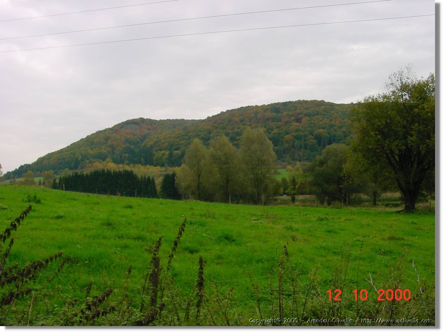 OBK_005.jpg
