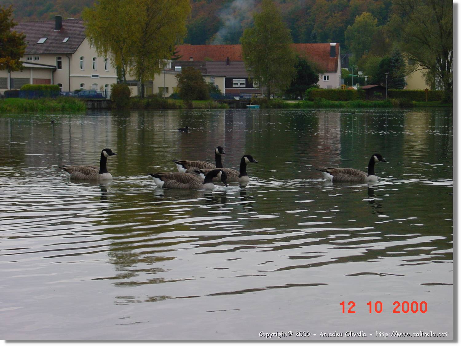 OBK_022.jpg