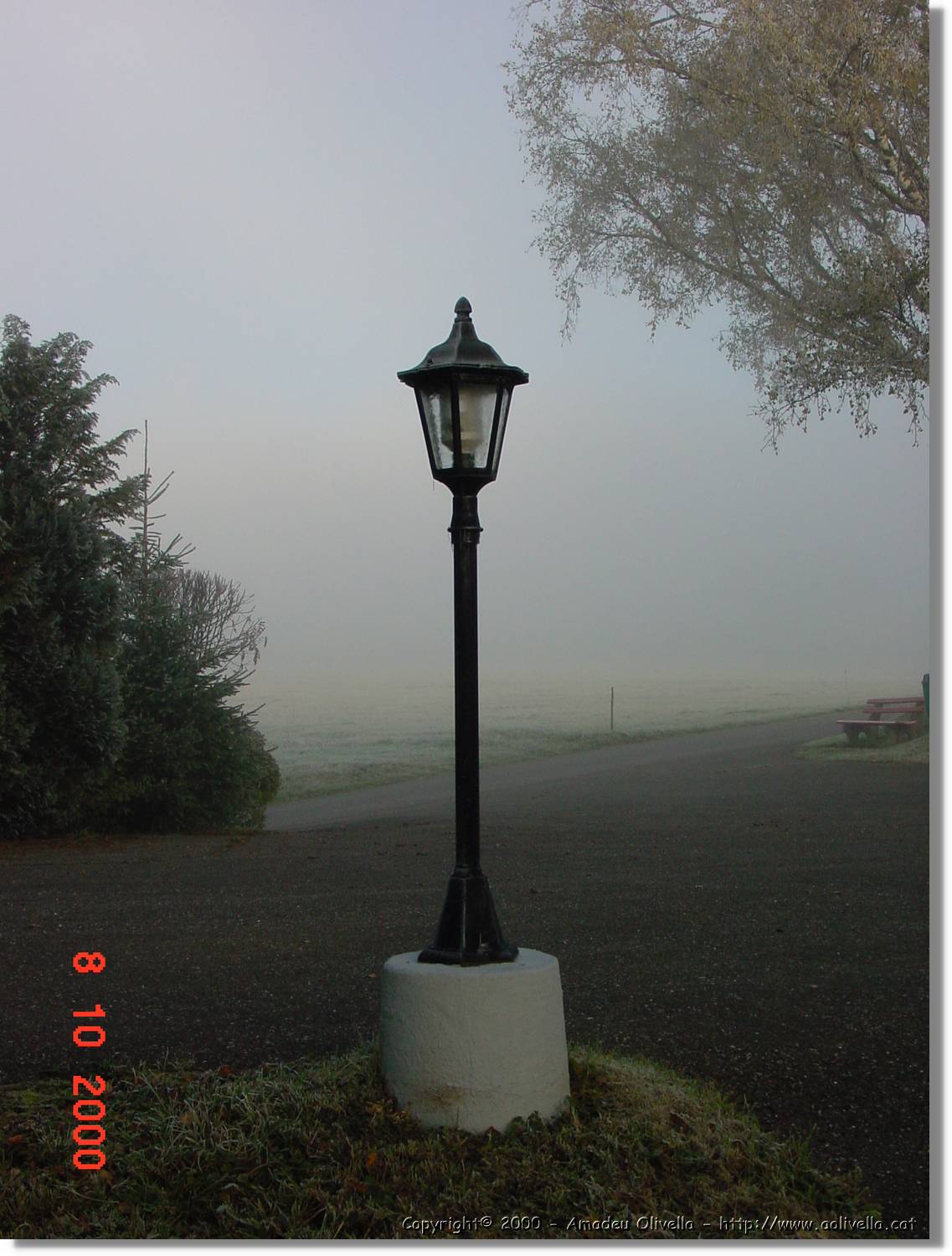 SW_006.jpg