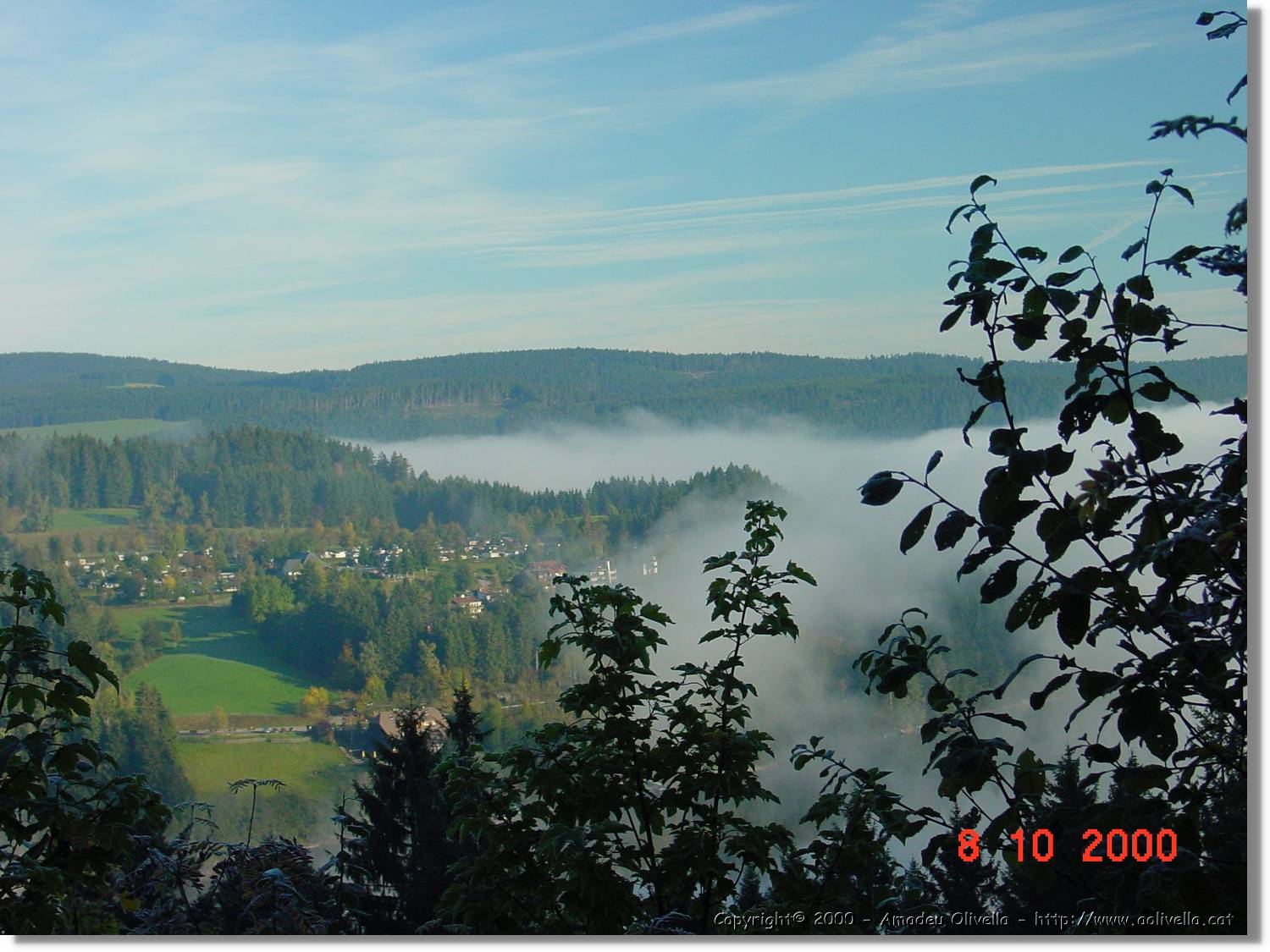 SW_014.jpg