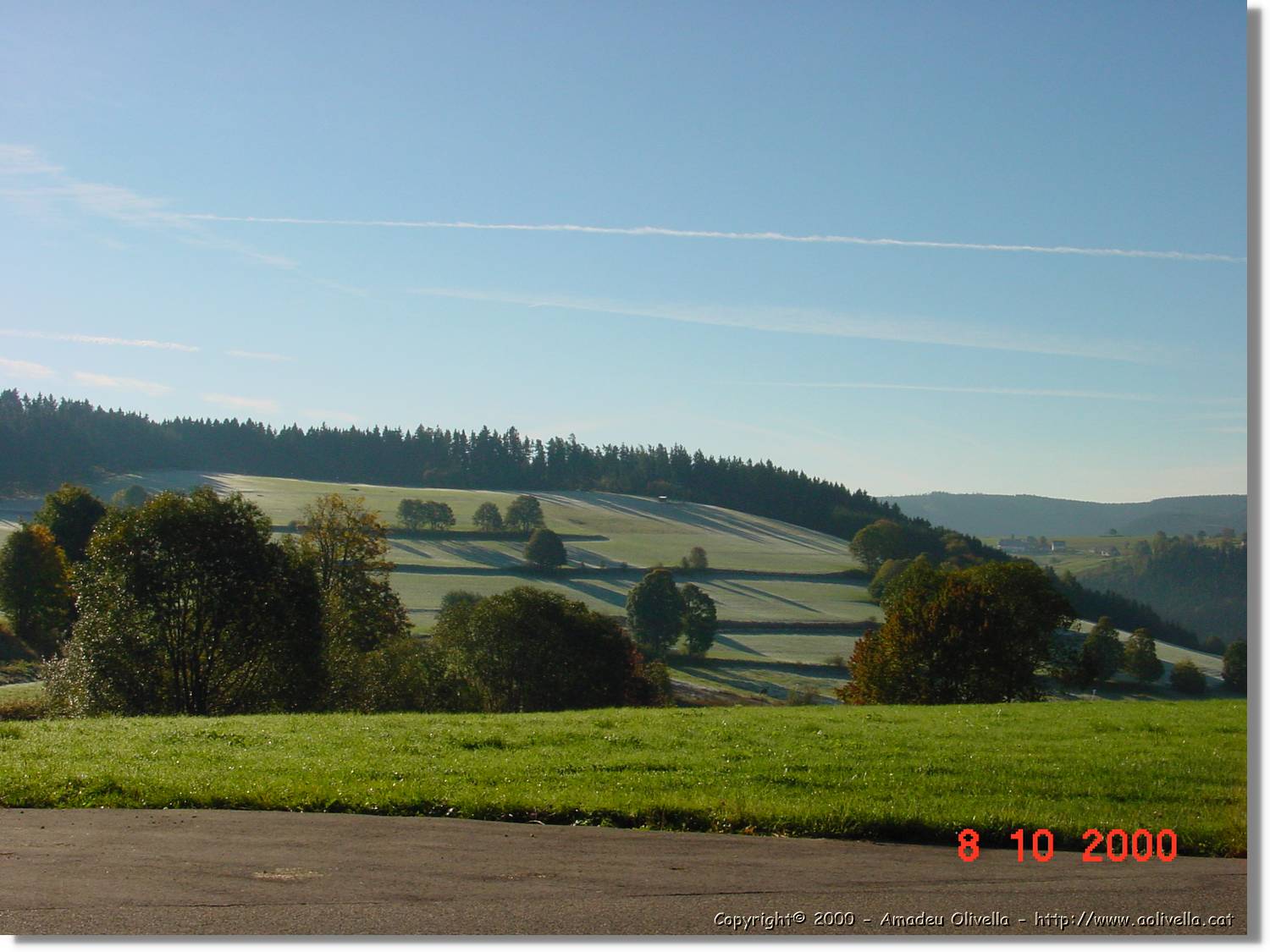 SW_015.jpg