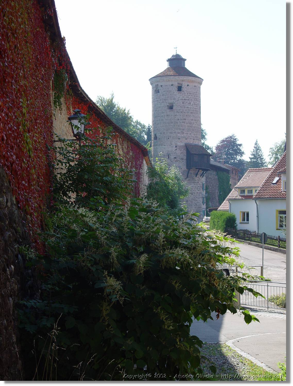 Bayern_022.jpg