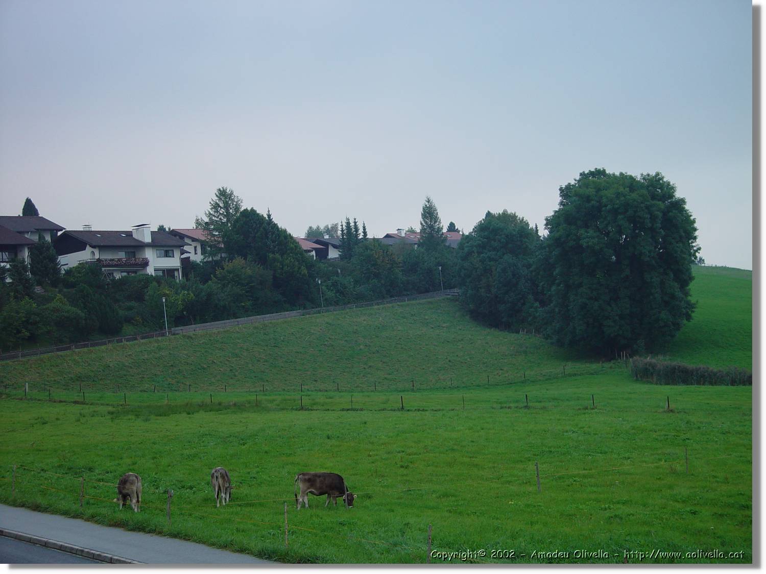 Bayern_081.jpg
