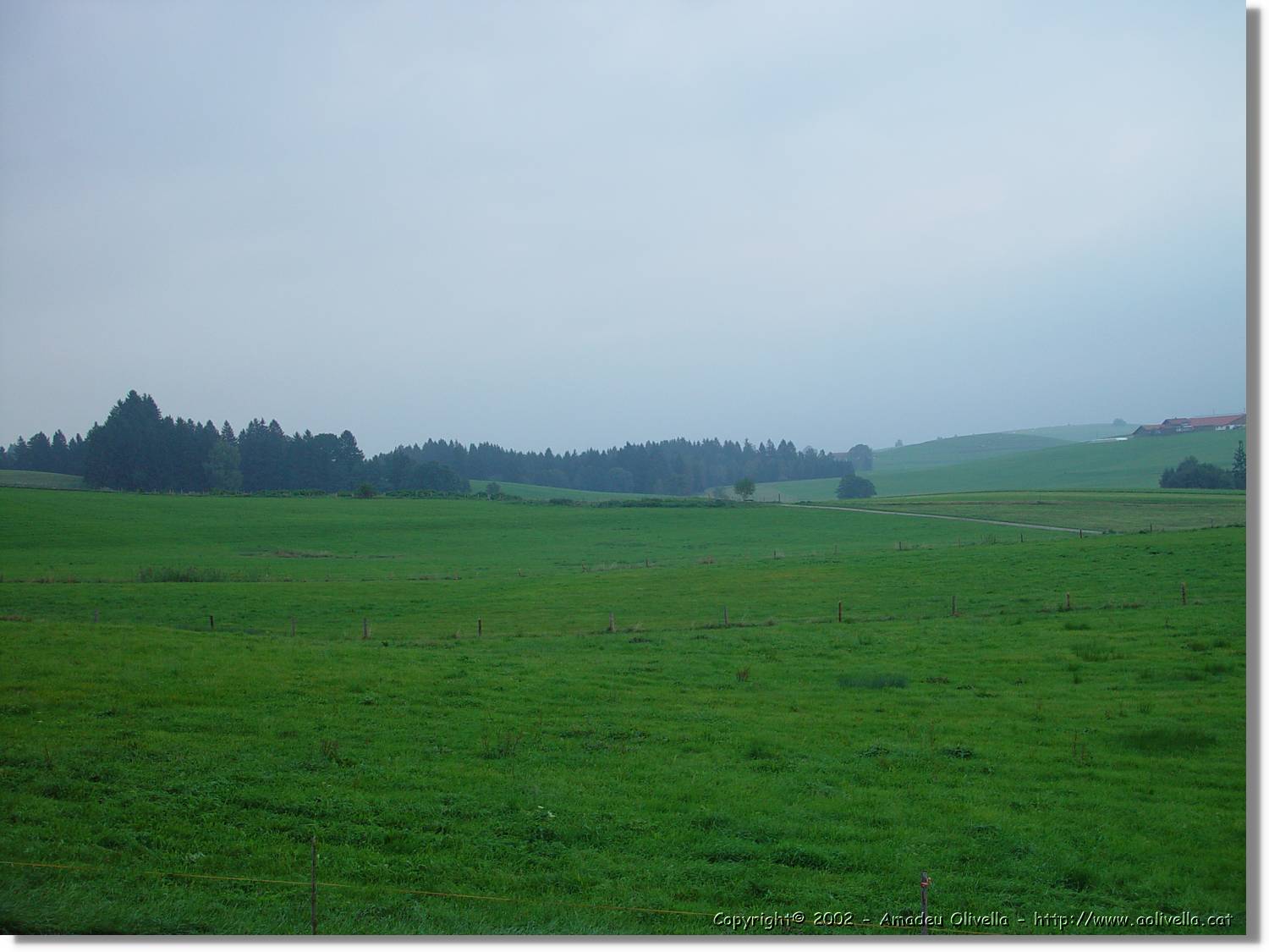 Bayern_085.jpg