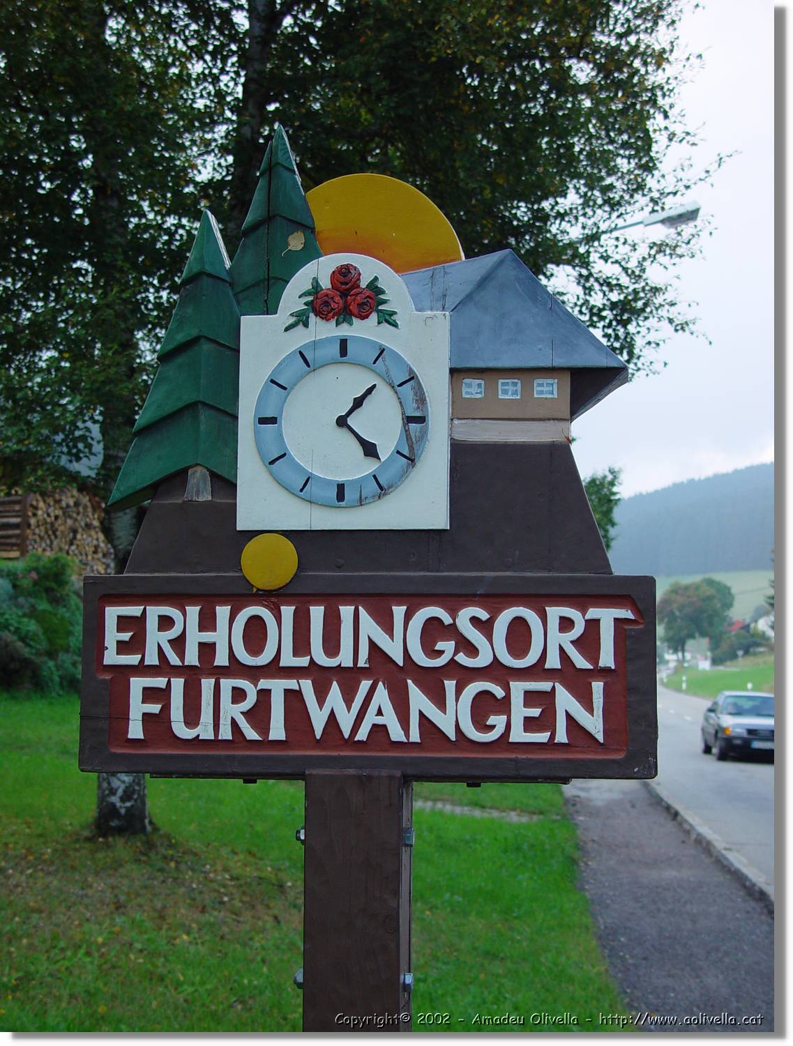 SW_Wald_004.jpg