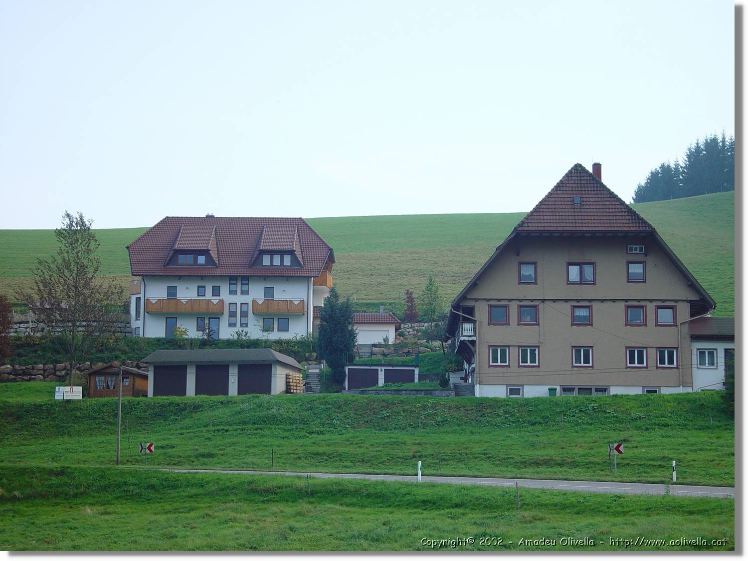 SW_Wald_006.jpg