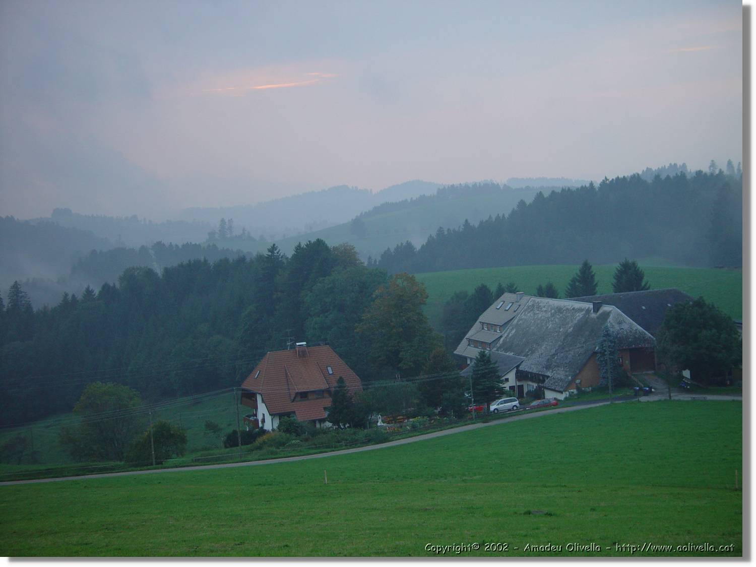 SW_Wald_022.jpg