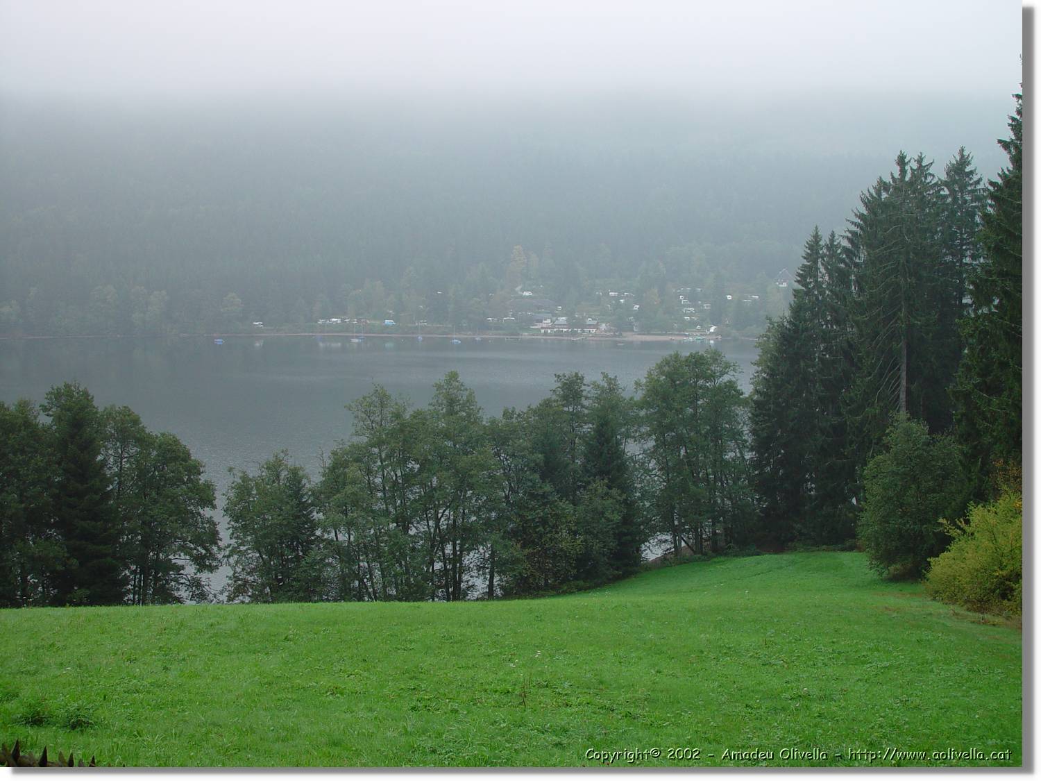 SW_Wald_040.jpg
