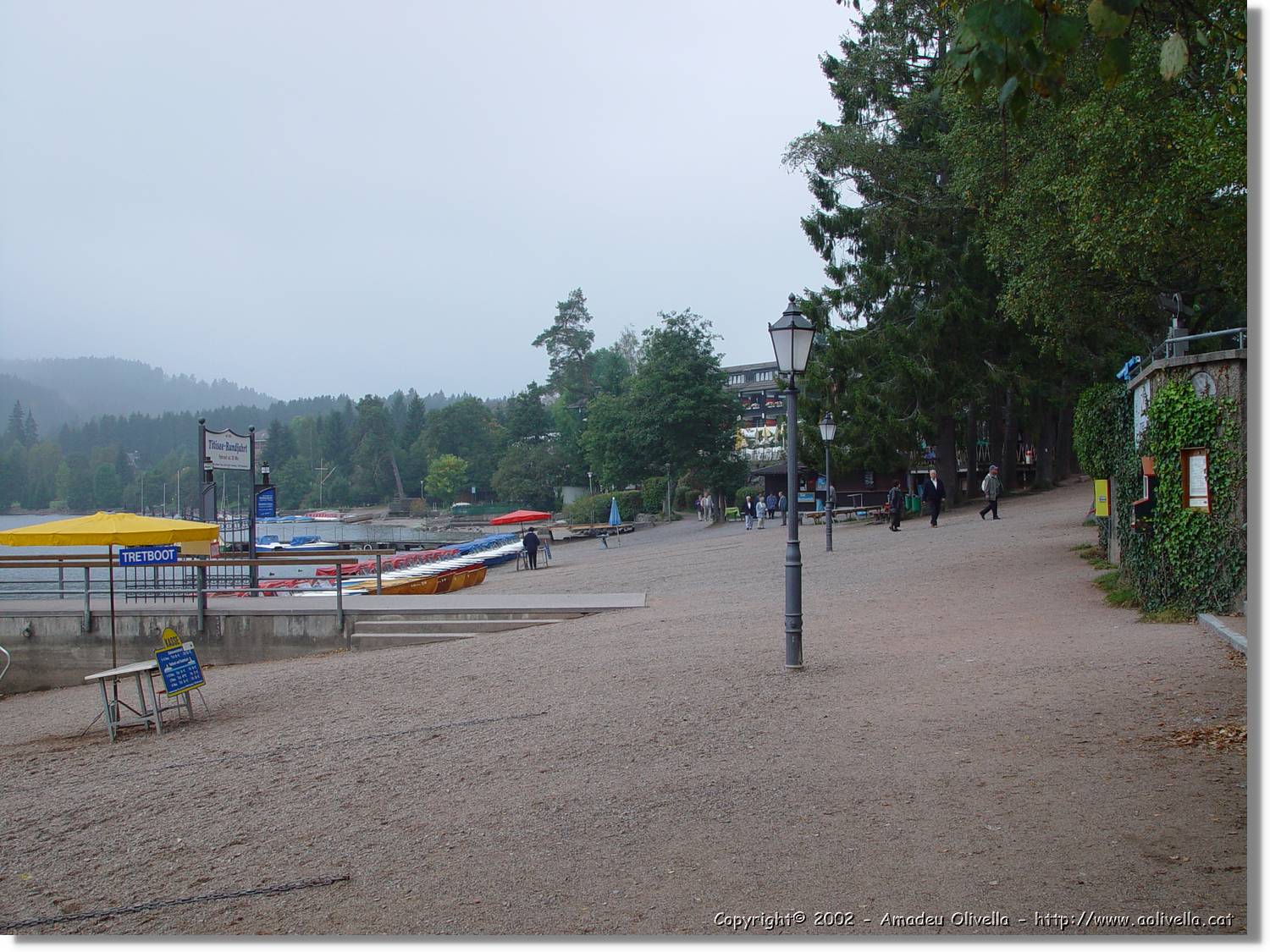 SW_Wald_043.jpg