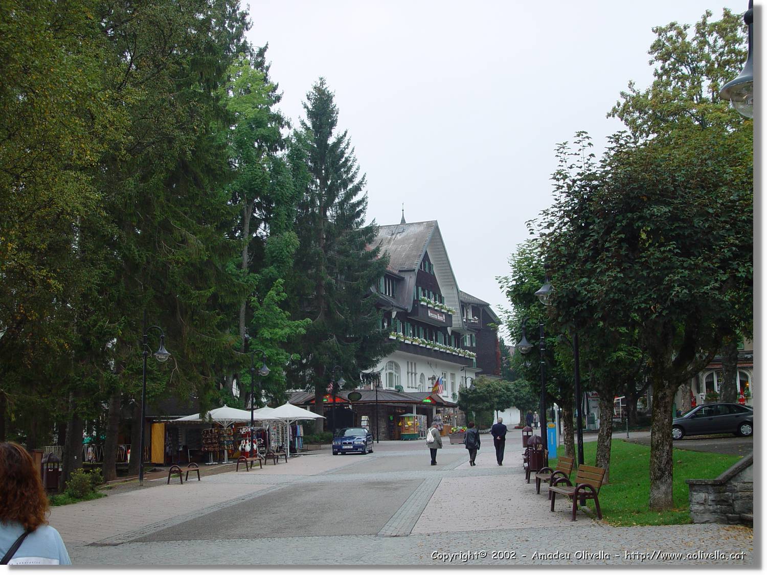 SW_Wald_044.jpg
