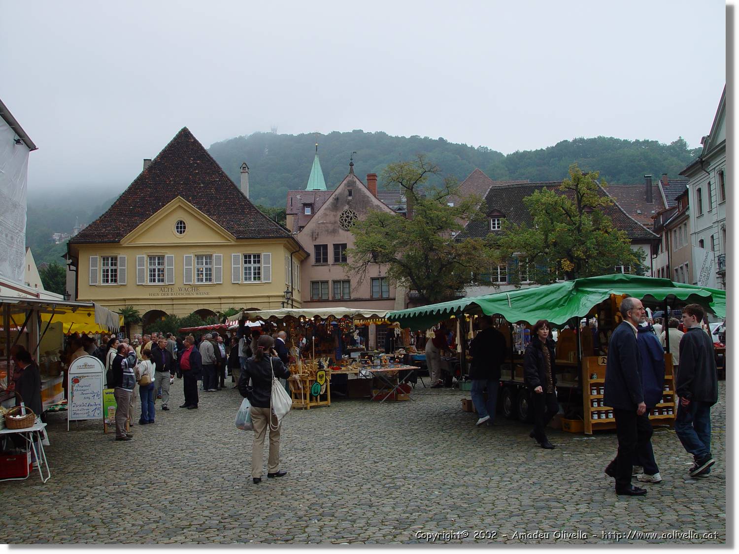 SW_Wald_045.jpg