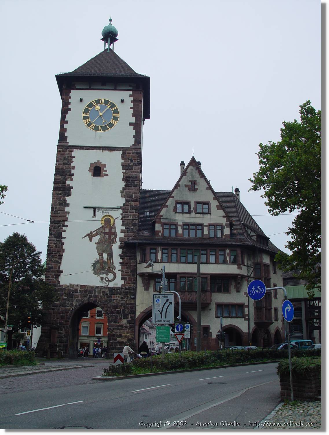 SW_Wald_047.jpg