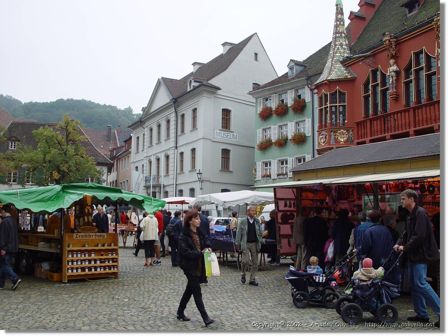 SW_Wald_050.jpg